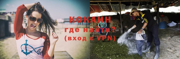 дмт Богородицк