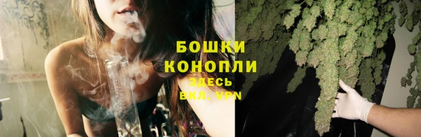 дмт Богородицк