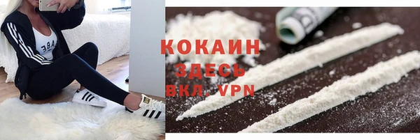 ПСИЛОЦИБИНОВЫЕ ГРИБЫ Богородск