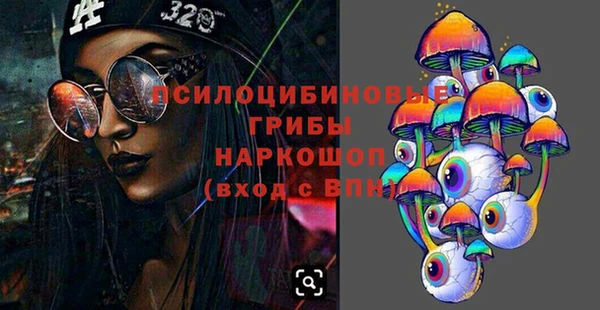 ПСИЛОЦИБИНОВЫЕ ГРИБЫ Богородск