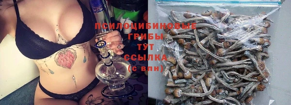 дмт Богородицк