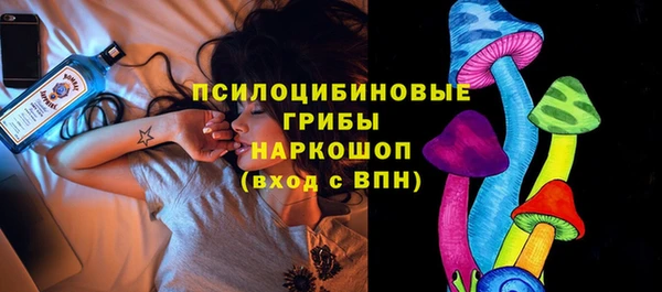 ПСИЛОЦИБИНОВЫЕ ГРИБЫ Богородск