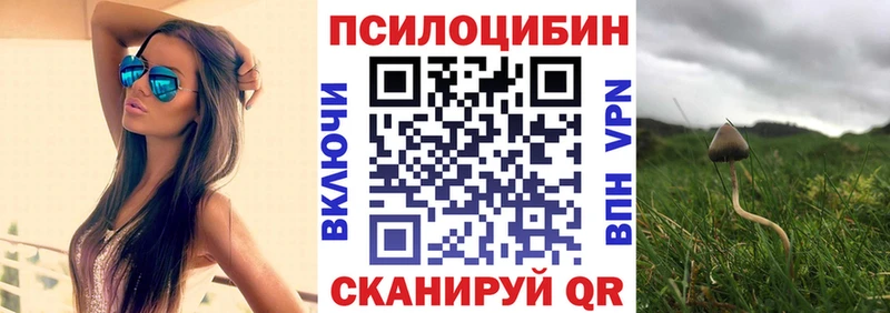 Купить  Лиски  Псилоцибиновые грибы GOLDEN TEACHER 